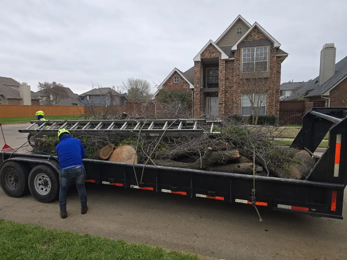 Expert Tree Pest Control with proper safety equipment in Wabbaseka